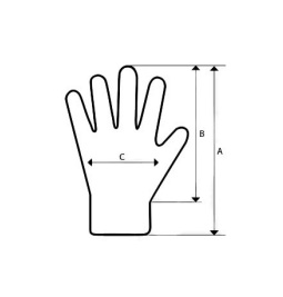 Snímek obrazovky 2025-09-25 105926